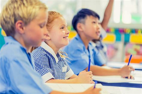 Home general news naplan 'too traumatic' for kids. What is NAPLAN? | Cluey Learning