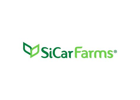 Sicar Farms Reports Expanded Season For Winter Citrus The Packer