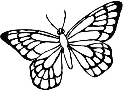 Butterfly Line Drawing Images At Getdrawings Free Download