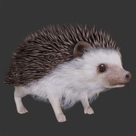 Hedgehogs With 39 Animations Free 3d Models Unitystr