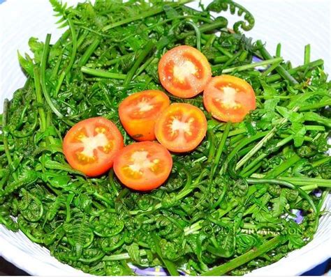Pako Edible Fern Salad Yummy Vegetable Recipes Pinoy Food Food Places