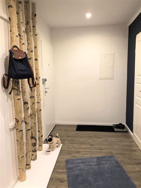 Kommode, kleiderschrank, garderobe, spiegel, gebr., buche/birke. Wunderschöne Garderobe aus weißen Birkenstämmenm ...