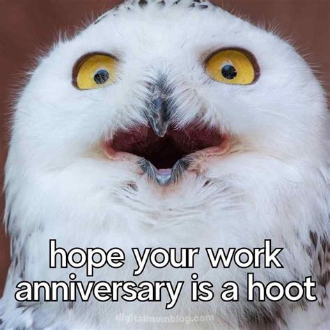 65 Best Work Anniversary Memes For Office Celebrations Work
