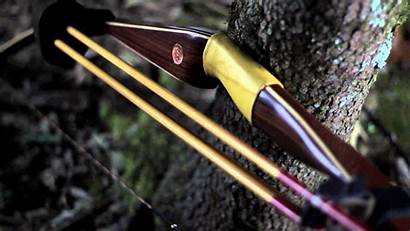 Archery Bow Arrow Hunting Traditional Hoyt Bear