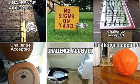 Funny Memes Of The Challenge Accepted Social Media Trend Daily Mail