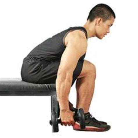 Seated Bent Over Rows Exercise How To Skimble