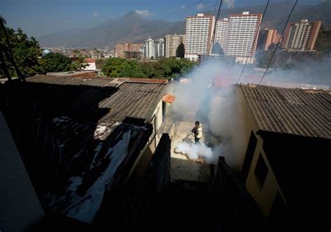 Who Declares Global Emergency Over Zika Virus Spread World News