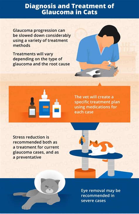 Also called congenital glaucoma, childhood glaucoma, or pediatric glaucoma, developmental glaucoma may be present from birth or caused by an injury or underlying condition that occurs and is detected early in life. Glaucoma in Cats: Causes, Signs, & Treatment | Canna-Pet