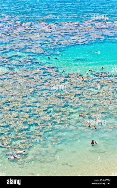 Day View Of Snorkeling Tropical Paradise Hanauma Bay In Oahu Hawaii