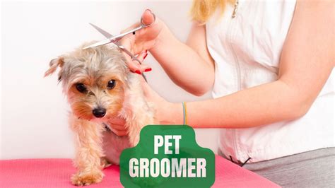 How To Get a Job at Petco? Petco Careers In 2022 - Oxford Pets