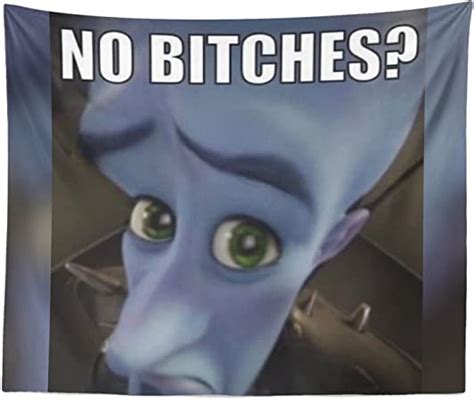 Aertemisi 60 X 50 Megamind No Bitches Funny Meme Tapestry And Wall Hanging For