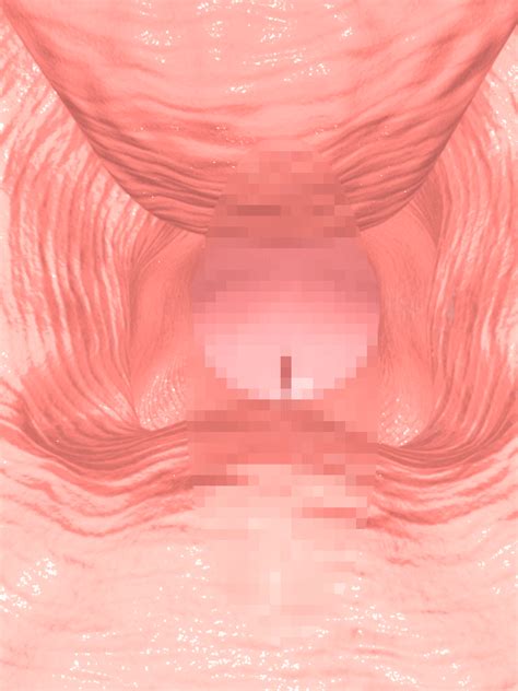 Rule 34 3d Animated Censored Cervix Close Up Inside View Penetration Penis Pointless Censoring