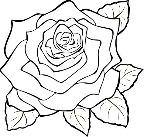 Rose Vine Drawing Designs ClipArt Best