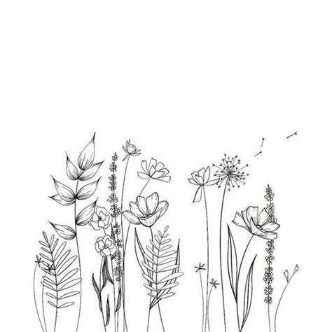 30 Ways To Draw Flowers Flower Line Drawings Easy Flower Drawings