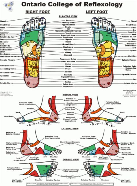 Acupuncture Foot Chart Astral Projection