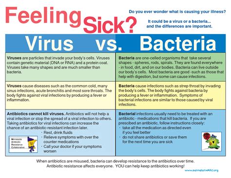 What Is The Difference Between Viral And Bacterial Infections