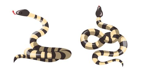 Bungarus Candidus | Small snakes, Poisonous snakes, Pretty snakes