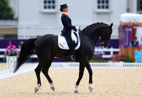Olympic Equestrian Rules Judging And Officials