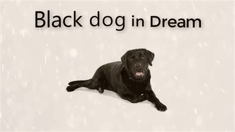 What Does It Mean To Dream Of A Black Puppy