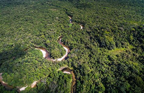 Pictures Brazil Amazon Jungle Nature Forest River From Above