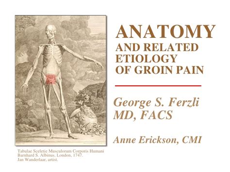 There's swelling or a lump around or in your testicle. Anatomy and Related Etiology of Groin Pain