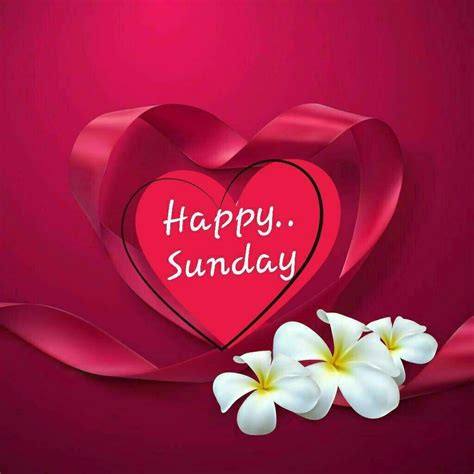 Happy Sunday Wishes To My Love