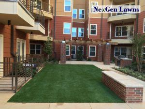 Check spelling or type a new query. Can I put Artificial Grass on a Patio? - NexGen Lawns