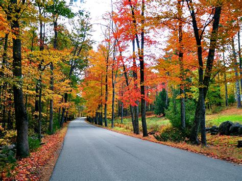 College campuses are filled to the brim, and cities are preparing for the winter ahead. New England Fall Foliage Road Trips | Travel Channel