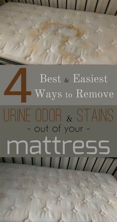 I had no idea how to go about cleaning a mattress. 4 best and easiest ways to remove urine odor and stains ...