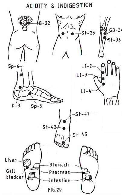 Acupressure Healing Akupressur Punkter Zoneterapi Akupunktur