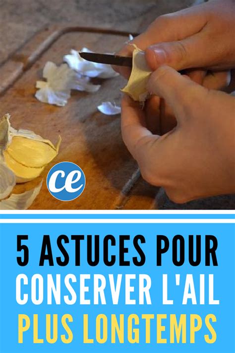 5 astuces simples pour conserver lail frais plus longtemps Soap