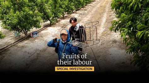 Идиомы из the fruits of my. 1. Fruits of their labour: Investigation into exploitation of ...