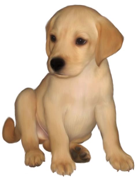 Free Yellow Labrador Cliparts Download Free Yellow Labrador Cliparts