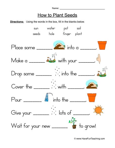 Seeds Plants Fill In The Blanks Worksheet By Teach Simple