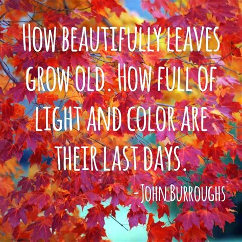 All Things Audry Fall In Love With Autumn Ten Quotessayings
