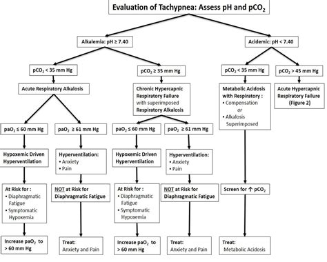 Tachypnea Evaluation And Differential Diagnosis Algorithm Alkalemia