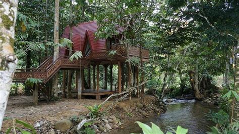 Boleh dikatakan homestay janda baik tepi sungai 2018 yang paling popular. Harum manis: Fifty4ferns janda baik