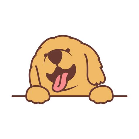 Golden Retriever Puppy Illustrations Royalty Free Vector Graphics