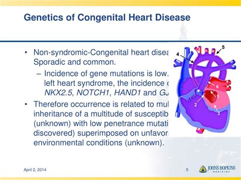 Ppt Genetics And Biomarkers In Congenital Heart Disease Powerpoint
