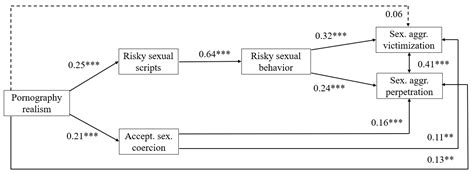 ijerph free full text links of perceived pornography realism with sexual aggression via