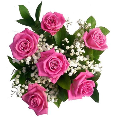 6 Pink Roses Fresh Flower Bouquet Lovely Arrangement Of 6 Pink Rose