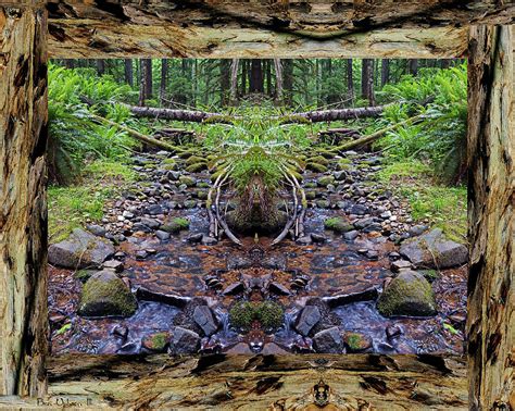 Peaceful Creek Vibrations In A Redwood Bark Frame Photograph By Ben