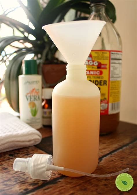 Diy Natural Flea And Tick Spray For Dogs Home Recipe Naturally Mindful