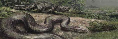Discovery Of Giant Snake Fossil Gives Hope To Rainforests Surviving