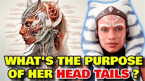 Ahsoka Anatomy Explored What Is The Purpose Of Her Head Tails Can She Die If They Get Damaged