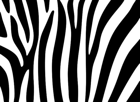 Free Free Transparent Cheetah Print Svg Free 755 SVG PNG EPS DXF File