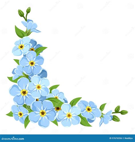 Blue Forget Me Nots With Rosettes Of Leaves On A Black Background