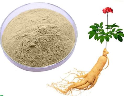 Best Korean Red Ginseng Extract Manufacturer Undersun