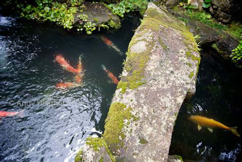 Stone Bridge In A Japanese Garden Over A Pond Full Of Koi Flickr