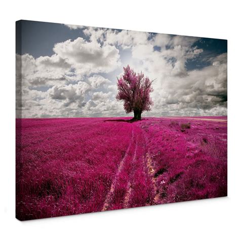 The Lonely Tree Canvas Print Wall